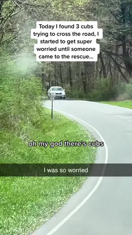 The drivers understood the assignment 😭😭😭 (Dan Edmunds via @ViralHog) #pubity 