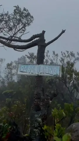 Ada yang pernah kejebak hujan disini?  Video : denythree.r ( Instagram ) #pasardieng #pasardienglawu #pasardienggununglawu #gununglawu #gununglawu3265mdpl #gununglawuangker #gununglawuindonesia #gununglawuviacetho #gununglawuviacemorosewu 