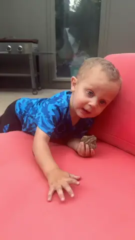 I’m not sure if he was not aware he picked up a whole FROG, or if he just didnt know frogs hopped? 🐸 #frog #hop #toddler #funny #fyp #fypシ 