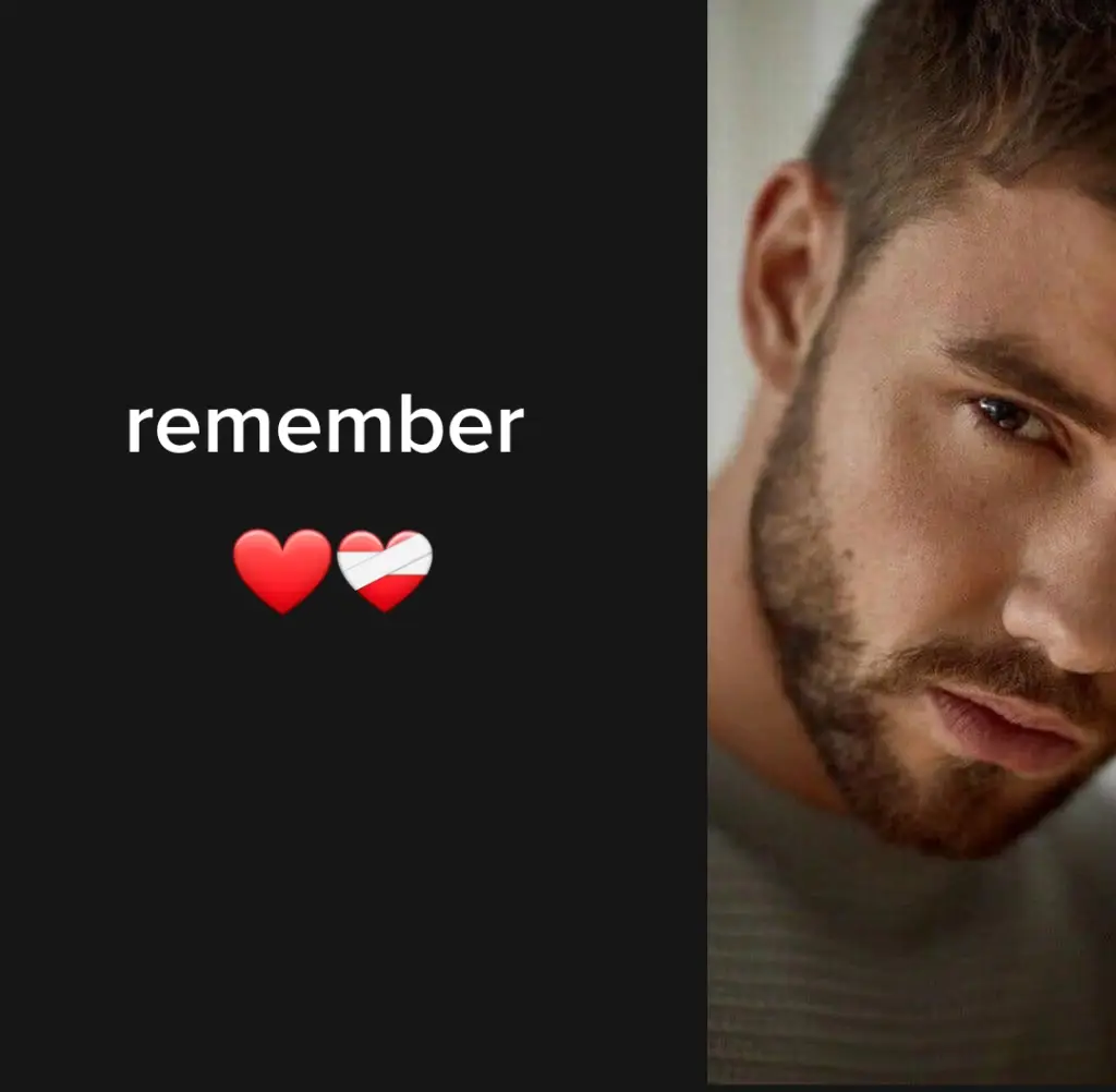 LP1 remember #liampayne #liam #payno #fanofliampayne #1d #1direction #lp1 #remember 