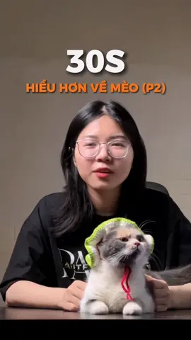 30s hiểu hơn về tụi nhỏ nhà bạn #pet #limmeo #cat #LearnOnTikTok #thucung 
