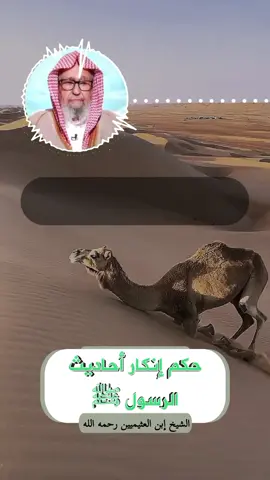 المنكر للأحاديث ملحد #الشيخ_صالح_الفوزان #الإرث_السلفي #مواعظ #explore #fypシ 