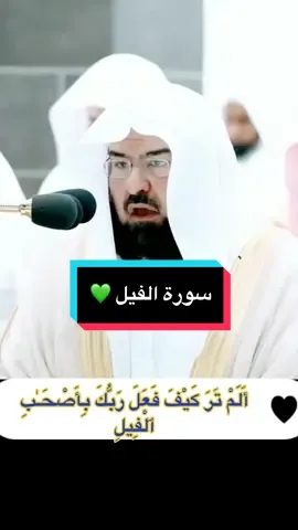 Surah AL-FIL سورة الفيل #السديس #قران #مكة #مدينة #islam #foryou #capcut #اكسبلور 