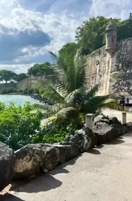 Puerto Rico could not have been more kind, fun and hospitable. In addition to crushing maybe 40 Piña Colada’s, I had one of the best experiences of my life. The island was beautiful, the food was incredible and the experience was once in a lifetime. Could not recommend it more! #DiscoverPuertoRico #AD