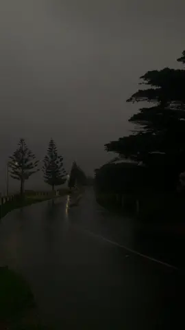 dont know what i wanted… #dark #darkaesthetic #darkcore #nature #ocean #trees #forest #rain #relatable #lonley #peace #music #shorethanggg #fyp #foru #fypage #forupage #foryou #viral #viralvideo 