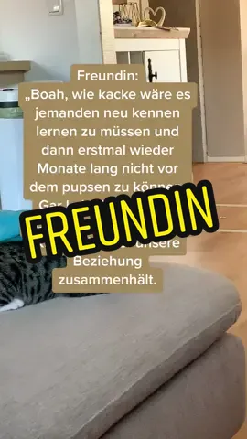 #fry #german #katzenvideos #trend #TikTokPromote #josiemaggie 