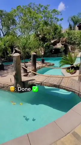 Dad turned the backyard into a whole waterpark 😮 #waterpark #dad #project    (via @PremierPoolPlasterin)