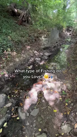 Carp Fishing! 🎣 #fyp #foryou #foryoupage #fishtok #fishinglife #fishing #carpfishing #nayzofishing #angler #viral 