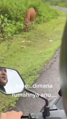 tabe dimana rumahnya anu....?#sulawesiselatanbugis #nikmatikenangannya #videomemerandom #videorandomlucu #videomemelucu #lucukonyol #videongakak #rezekiallah #kumpulanvidiolucu #videotiktoklucu #memelucuditiktok #selalubersyukur #randomngakak #kumpulanvideolucu #videobikinngakak #videolucutiktok #memerandom #aquadulu #lucuhihihi 