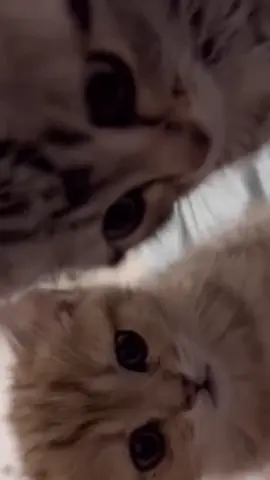 😊