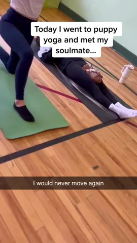 You HAVE to see the puppys leg raises at the end 😭😭😭 (@PuppyYoga) #pubity 