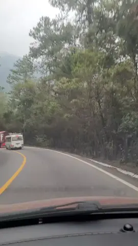BiotopodelQuetzal ruta a Cobán🇬🇹
