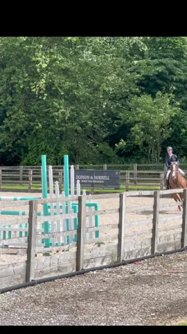 Big carlos #horseriding #sporthorse #equestrian #competition #showjumper #showjumping #sport #equine #horses #showjumpinghorses #EquestrianTikTok #horserider #EquestrianLife 