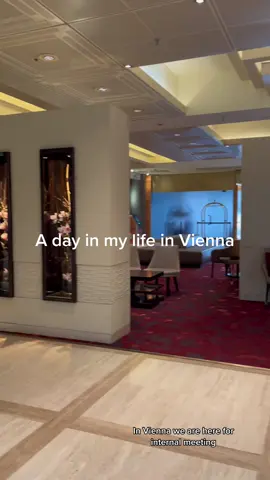 A day in my life: Internal meeting in Vienna ! 🚀✈️#fyp #foryoupage #foryou #vienna #viennacity #travel #tiktok #marriott 