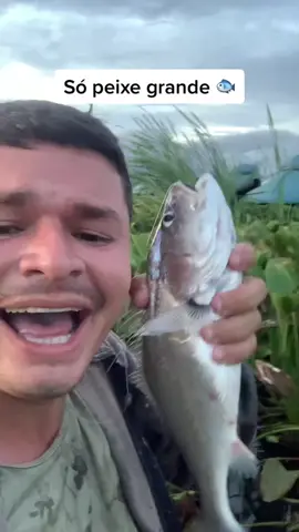 #fyyyyyyyyyyyyyyyy #minharotina #pesca #interior #memes 