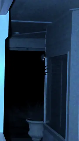 Is it a skinwalker #horrortok #scarypovs #skinwalker #creepypasta #scp #creepy #fypシ  
