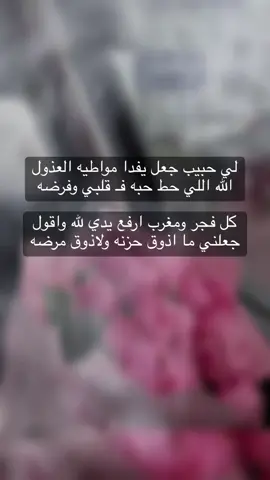 #متابعة_لايك_فولو_فضلا_ليس_أمرا🍁🍂🌺 #اكسبـلور #الكويت_تقدر 