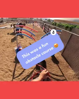 This was a fun course. We need to find more of these to do. Flynn was offended though… this video always triggers people 😂😂 #horse #mule #horses #equestrian #equestrianlife #funny #shenaningans #bodypositivity #fun #animals 