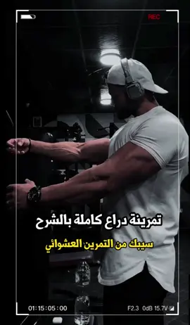 تمرينة دراع كاملة بالشرح 💪🏼🔥 #fyp #viral #fypシ #moatazhafez #اهم_حاجة_الاستمرارية 