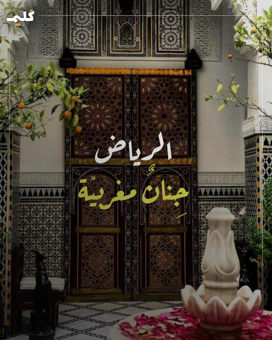 هل سبق وزتم الرياض المغربية؟ @kaleem-كليم #المغرب #الرياض #رياض_مغربي #مغربيات #الأندلس #عرب #جادك_الغيث #موشح #حضارة #حضارة_الأندلس #إسلام #تاريخ #اكسبلور 