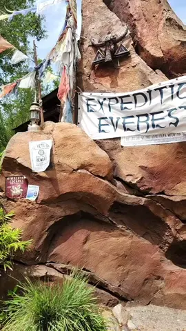 Expedition Everest The Legend of the Forbidden Mountain at Disney's Animal Kingdom #disney #Everest