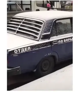 Я не телка - Я девушка 🤣 #приколыдослёз #девушка #телкасусами #усатая