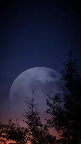 Moon Sky 04 #background #backgroundvideo #wallpaper #freevideo #wallpapervideo #livebackground #freewallpaper #moon 