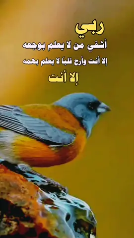 اللهم امين يارب 🤲#الرحااااااااال #اكسبلورررررر 