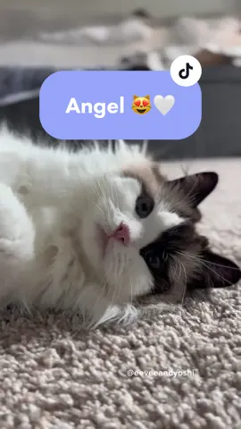 I could stare at her all day