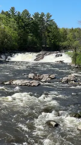 Beautiful River in Quebec at Parc Regional de la Rivière du Nord #shorts #quebec #laval #montreal #river #naturevibes #beauty #magnificent #awesome #highvibe #ilovenature🌿🌴🌲☘️🌺🌻🌹🍀🍁🍃🍂😍😍 #iloveriver 