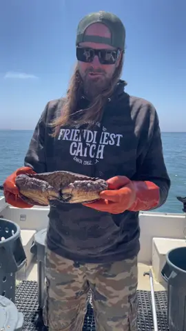 Let me repeat myself a couple times:)  Big as it Gets! Jumbo Red Rock Crab Santa Cruz California #fishingtiktoks  #santacruz #crab #nature #natgeo 