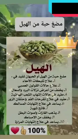 #tiktok_arab  #لا_اله_الا_الله  #فوائد_مضغ_حبة_الهيل 