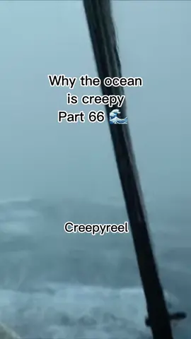 OMG!! 😱  #thalassophobia #aquaphobia  #creepy #fyp #foryoupage #trending #viral #creepy #creepyvideos #seal #killerwhale #creepyreel  WHY THE OCEAN IS CREEPY PART 66