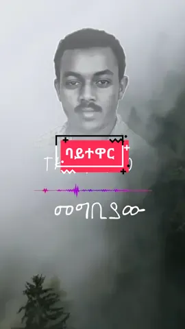 አለማየሁ ሂርጶ 'ባይተዋር'  ግጥምና ዜማ ፦አለማየሁ ደመቀ #musiqawi #efrem_t #music #ሙዚቃ #eliasmelka #ኤልያስመልካ #ኤሉ #ባይተዋር #አለማየሁሂርጶ #habeshantiktok #Ethiopiantiktok #EthiopianMusic 