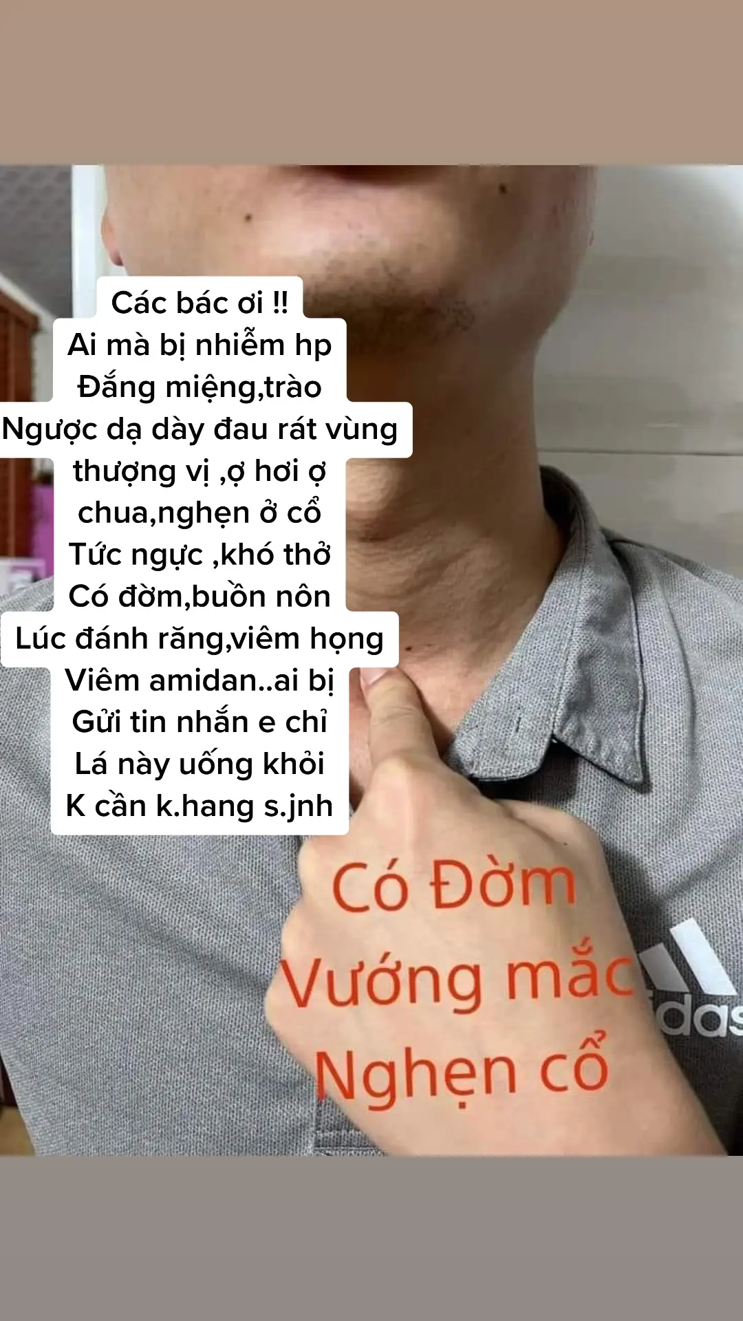 Các bác ơi !! Ai mà bị nhiễm hp Đắng miệng,trào Ngược dạ dày đau rát vùng thượng vị ,ợ hơi ợ chua,nghẹn ở cổ Tức ngực ,khó thở  Có đờm,buồn nôn Lúc đánh răng,viêm họng  Viêm amidan..ai bị  Gửi tin nhắn e chỉ  Lá này uống khỏi  K cần k.hang s.jnh 