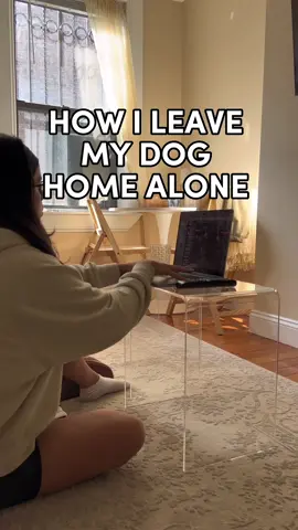 here’s how i leave my dog home alone! i don’t always use cbd, but when Im running late & cant prep him with enrichment - it does the trick! #NoodleYorkCity #separationanxiety #separationanxietydog #separationanxietytraining #separationanxietytips #dogowner #dogroutine 
