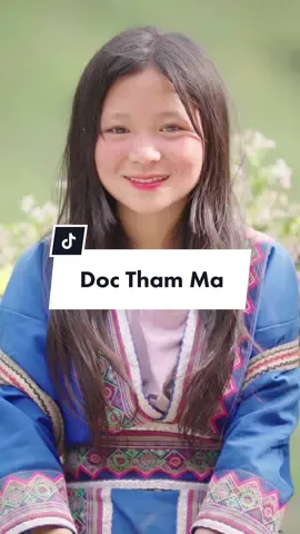 Một cô bé rất dễ thương dốc Thẩm Mã Hà Giang #dommedia #vietnam #hàgiang #traveltiktok #phongcảnhviệtnam #docthammahagiang #hagiang2023 