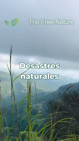 Los desastres naturales 🌬🌊🌪 #desastresnaturales #desastrenatural #AprendenEnTiktok #conocimiento #educación #thefreenature #parati #foryou #paratii #fyp #fypシ #fy #foryoupage 