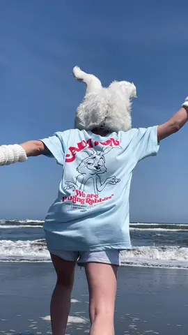 この後、海に飛び込んだか飛び込んでないか、どっちでしょう？🌊🐇#FR2  #海 #九十九里浜 