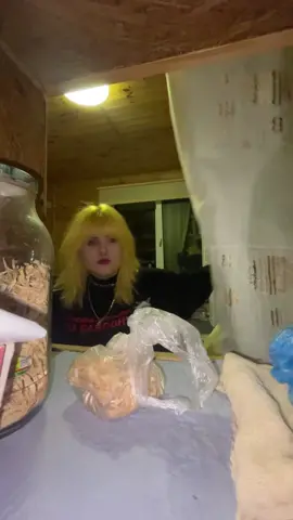 в кінці відео бонус! квитки в біо! Подвійний сольний концерт з паном @Sad Novelist 🖤🐇