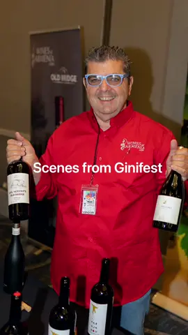 Scenes from Ginifest  . . . . #alwaysdrinkthegoodstuff #stepanbaghdassarian #winesofarmenia #mywineplus #armenianwines #ginifest #armenianwinefestival #winetasting #winefestival 