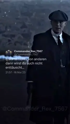 Erwarte nichts von anderen. #CapCut #erwarten #enttäuscht #thomasshelby #peakyblinders #zitate #ZitatevonCommander_Rex_7567 #Commander_Rex_7567 #foryou #viral 