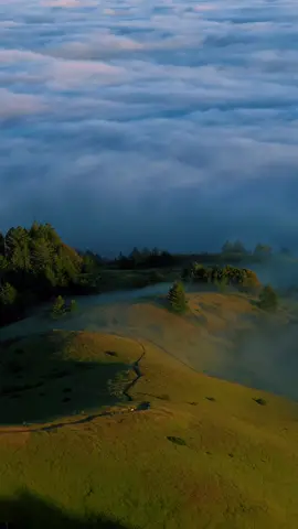 one minute in Mt. Tamalpais