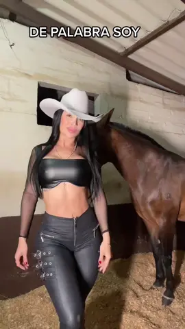 #depalabrasoy #h2 