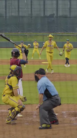 Come for the bedazzled cowboy hat, stay for the ump serving cake 🍰 #savannahbananas #bananaball #baseball #cowboy #dance #fyp #viral 