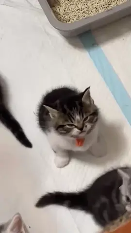 😊