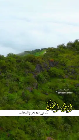 ارض اللبان اشربي من دموع السحايب  #رخيوت #ظفار #الغربية #explorepage #ارض_اللبان