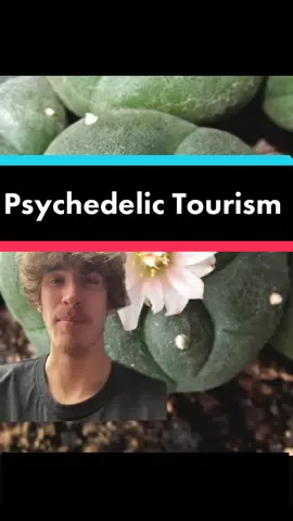 Having fun with these powerpoint transitions #psychedelictok #tripwhip #trippy #travel 