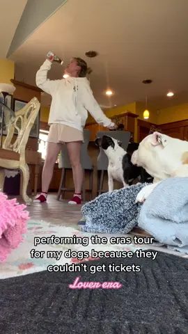 They’re honestly lucky to have me as an owner #taylorswift #swifttok #erastour #TSTheErasTour #dogs #dogsofttiktok #cruelsummer  #chicagotstheerastour #lover 
