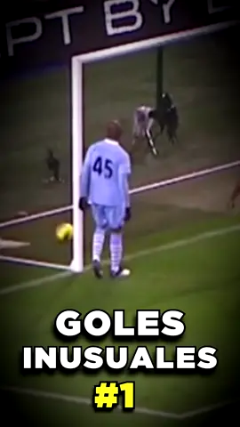 GOLES INUSUALES - Parte #1 #pirplu #gol #messi #palermo #fuertes